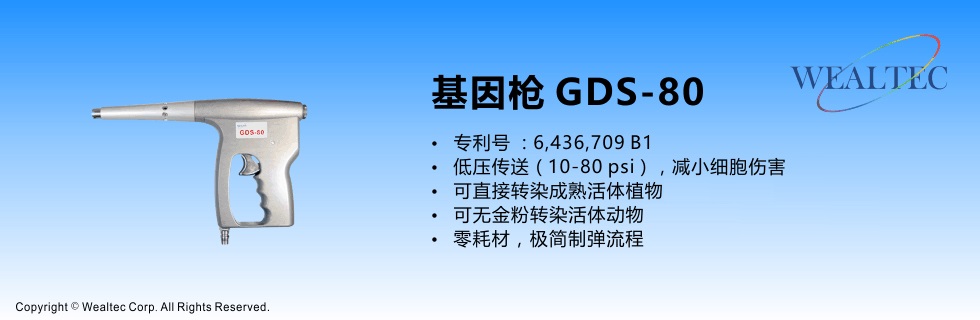 GDS-80基因枪