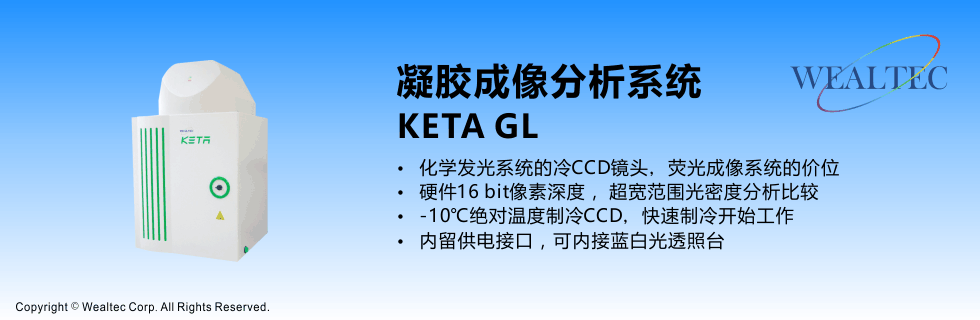 KETA GL